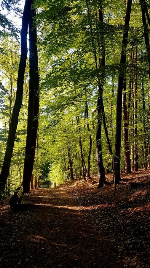 Gaestehaus Schu Marpingen Bagian luar foto
